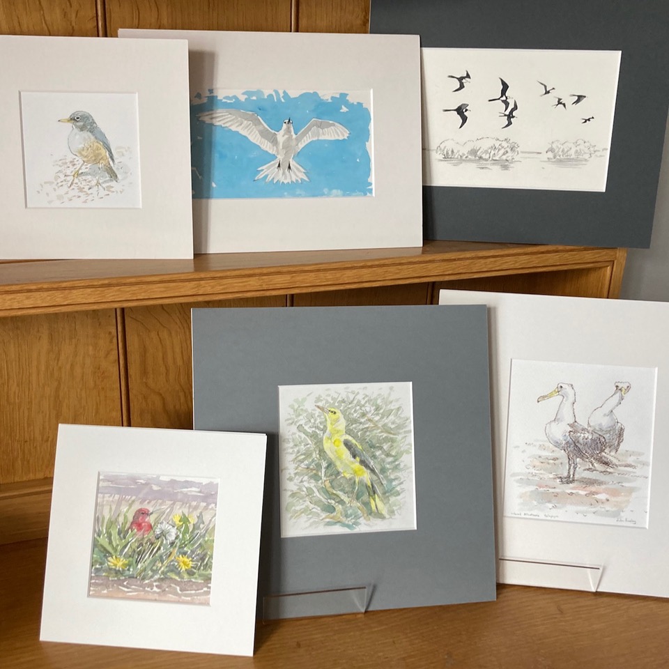 John Busby Art St Andrews Visitor Guide